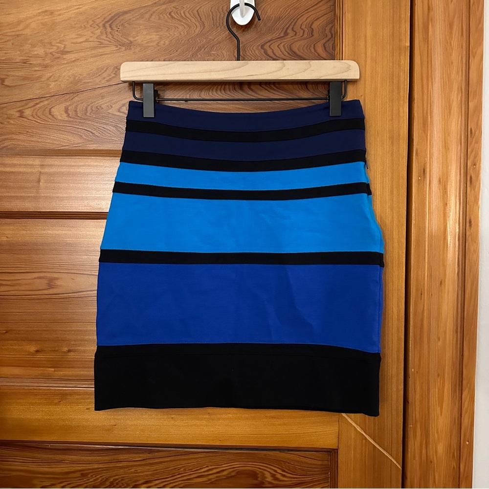 Express Striped Skirt